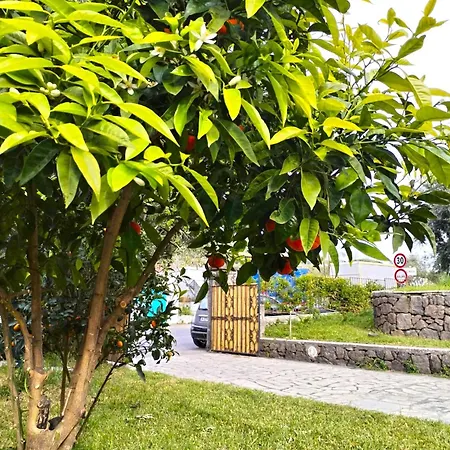 Angelo Forio di Ischia